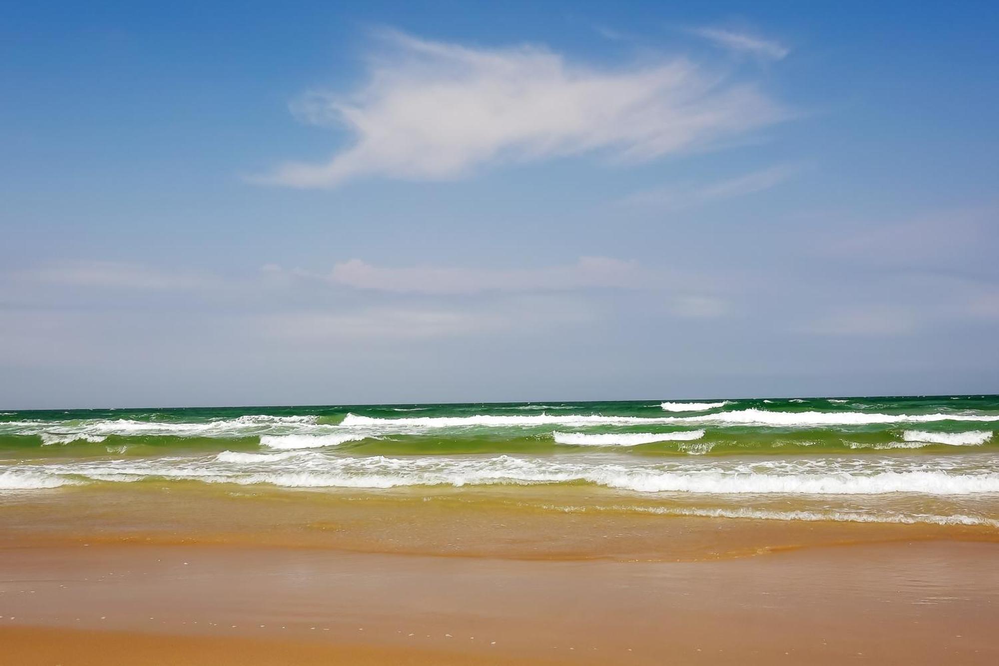 Surfside Condos 사우스 파드레 아일랜드 객실 사진